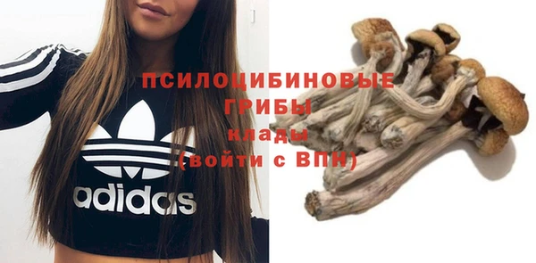 кокаин Алексин