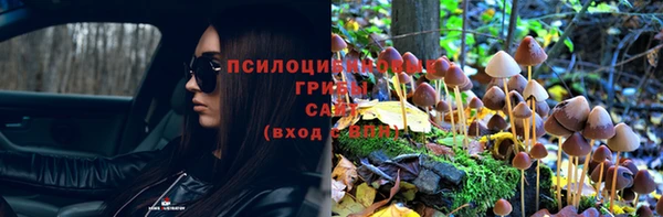 крисы Семилуки